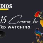 Best cameras for birds watching