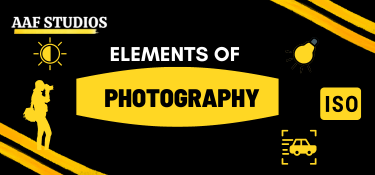 Elements of photography